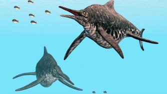 Учени идентифицираха вкаменелостите на нов вид морски дракон