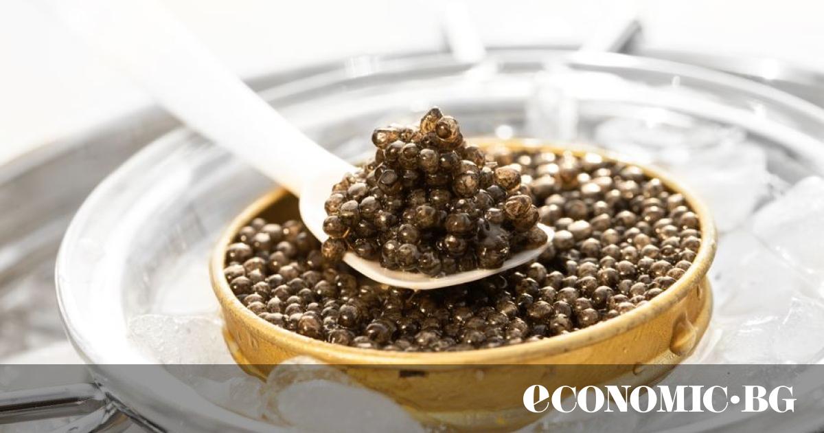 Черният хайвер вече е достъпен деликатес. България е сред водещите