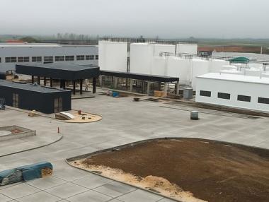 „Инса ойл“ с първия в Европа завод за бета каротин от дрожди