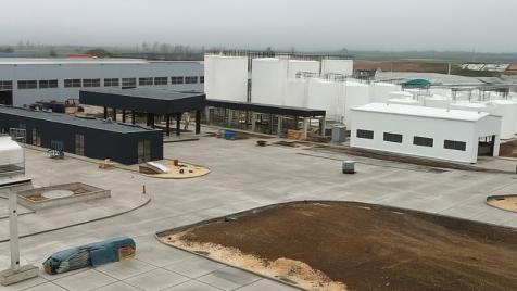 „Инса ойл“ с първия в Европа завод за бета каротин от дрожди