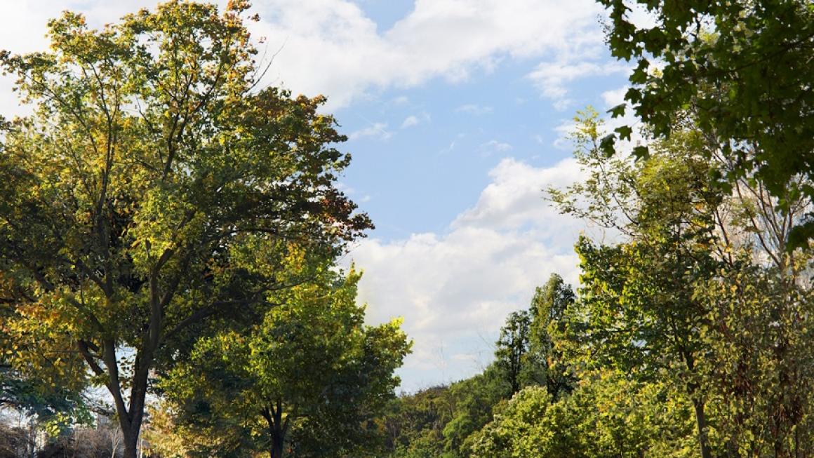 Галерия :: Снимка 2 :: Терзиев обещава първа копка на „зелената магистрала“ на София тази година (карта и снимки)}