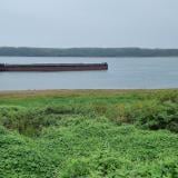 Фериботът Русе - Гюргево няма да тръгне скоро