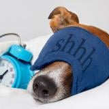 Доколко полезно е трупането на сън?