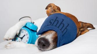 Доколко полезно е трупането на сън?