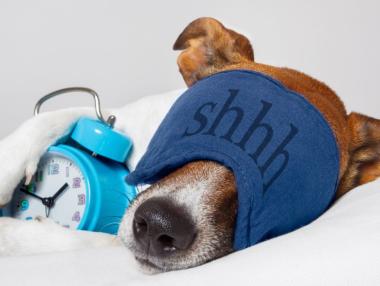 Доколко полезно е трупането на сън?