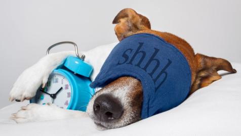 Доколко полезно е трупането на сън?