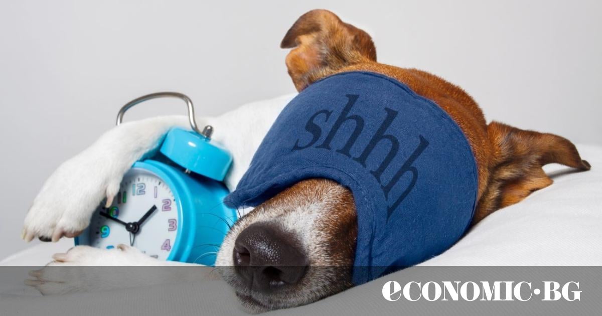 Уикенд е. Идеалният момент да изключите алармата и да си