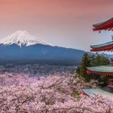 Японски град отмени фестивала на цъфналите вишни заради лошото поведение на туристи