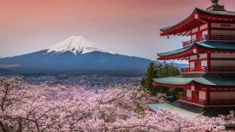 Японски град отмени фестивала на цъфналите вишни заради лошото поведение на туристи