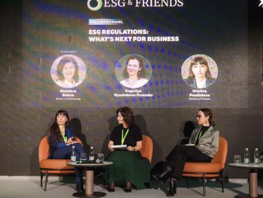 Зеленото отчитане: От административен хаос към глътка въздух за бизнеса