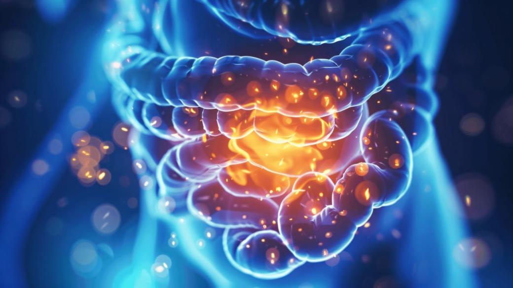 Как ултрапреработените храни влияят на микробиома ни