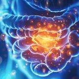 Как ултрапреработените храни влияят на микробиома ни