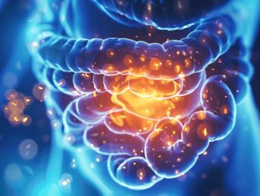 Как ултрапреработените храни влияят на микробиома ни