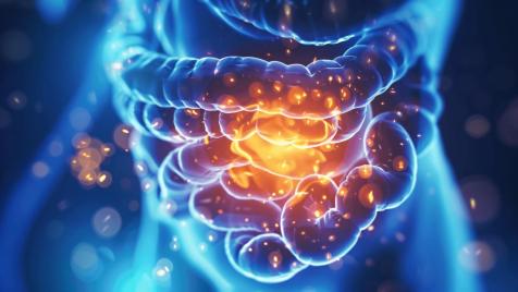 Как ултрапреработените храни влияят на микробиома ни