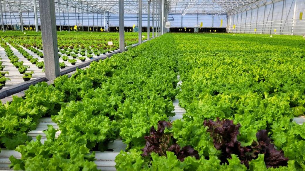 Има ли в България кръгова икономика