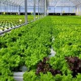 Има ли в България кръгова икономика