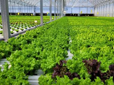 Има ли в България кръгова икономика