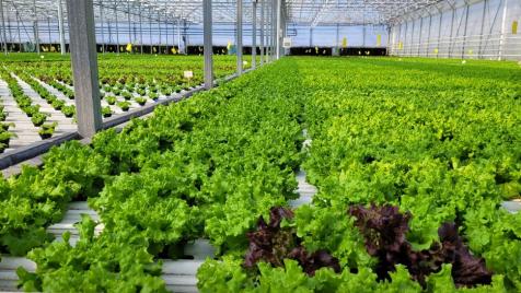 Има ли в България кръгова икономика