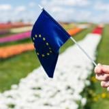 Ефектите от войната с Иран върху Европа: Започва ли вече рецесия?