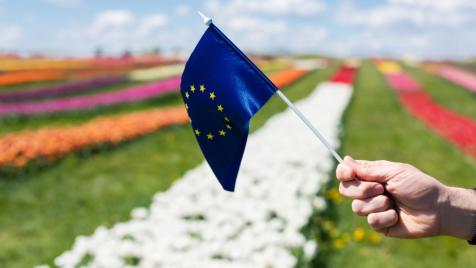 Ефектите от войната с Иран върху Европа: Започва ли вече рецесия?