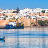 Какво да видите в Световна столица на книгата за 2026 г.?