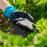ЕП одобри спешна подкрепа за фермерите заради скъпите торове