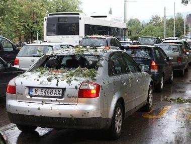 Опашките при застрахователите продължават