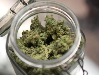 Германски съд разреши марихуаната при тежко болни пациенти