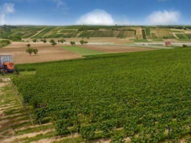 До 1 август приемат заявления за пропаднали площи