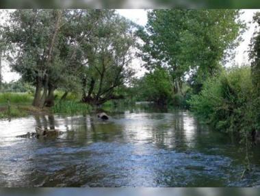 Река Скът потопи гр. Мизия