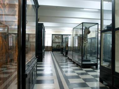 Природонаучният музей отваря врати за юбилея си