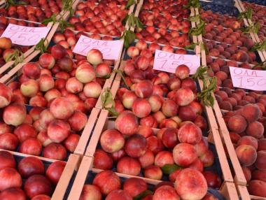 Гръцките фермери раздават на бедни спрените от Русия праскови