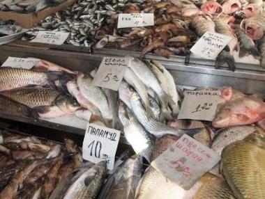 Започва износ на рибни продукти за Китай