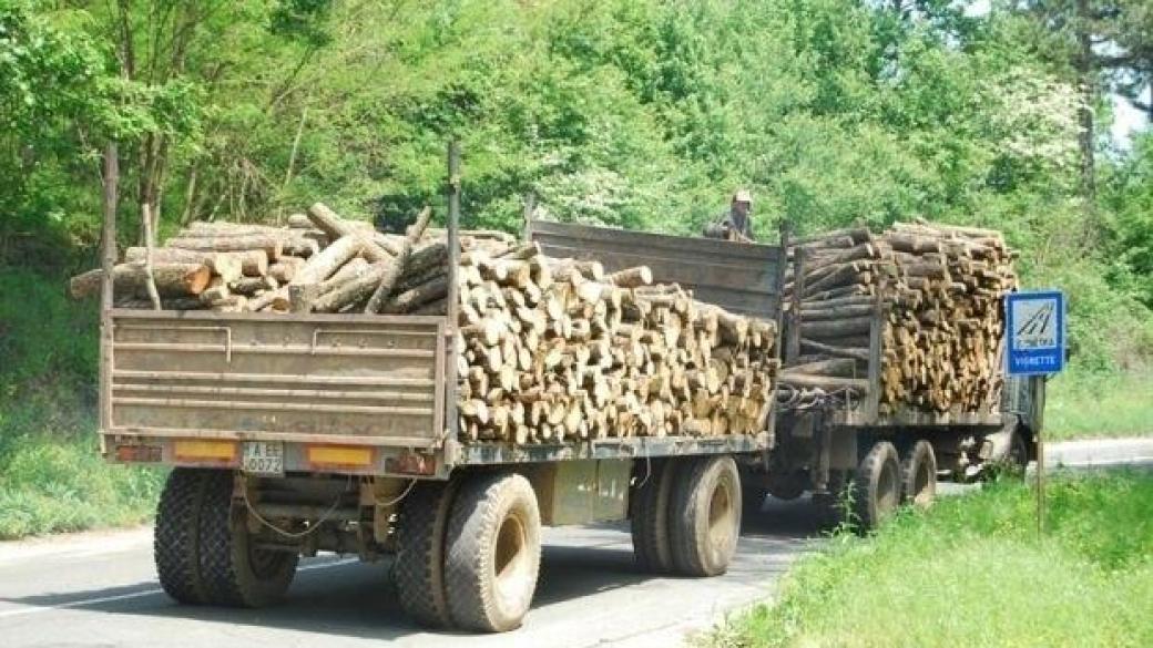 Следят с SMS-и камионите с дърва
