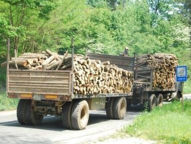 Следят с SMS-и камионите с дърва