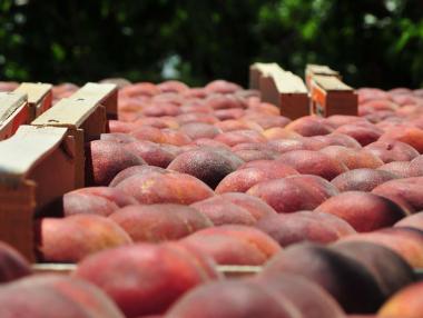 €5 млрд. щети очаква ЕС от руското ембарго