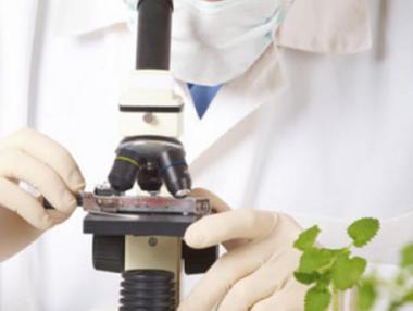 Чешки учени твърдят, че създали супер храна