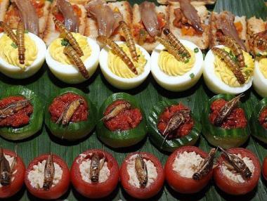 Деликатеси от насекоми тръгват на пазара в Белгия