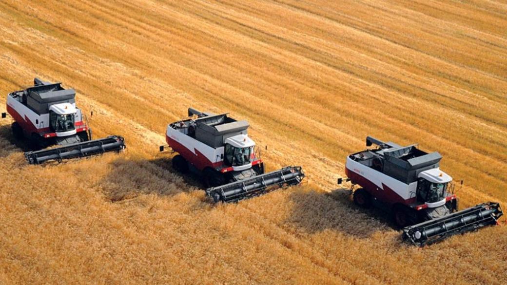 Очакват 2 млн. т. износ на пшеница