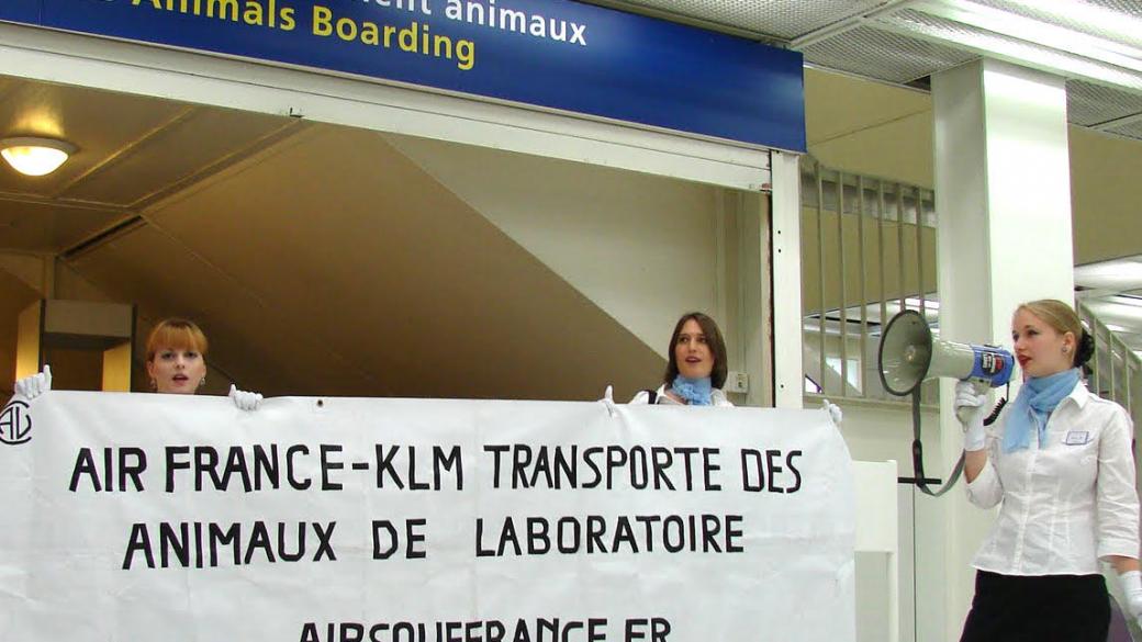 57% от пилотите на Air France остават в стачка