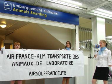 57% от пилотите на Air France остават в стачка