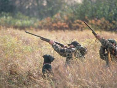Днес се открива ловния сезон