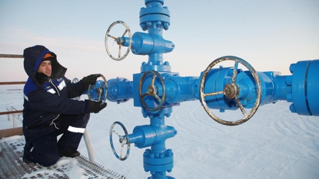 Топла зима е условието ЕС да оцелее над месец без руски газ