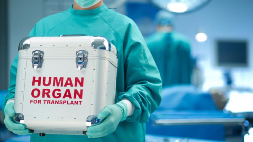 Над 1000 българи чакат орган за трансплантация