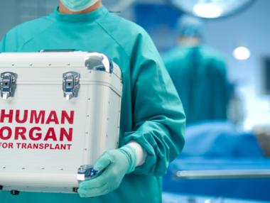 Над 1000 българи чакат орган за трансплантация