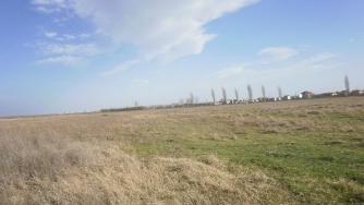 2014 г. ще е нулева за българските фермери