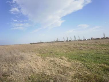 2014 г. ще е нулева за българските фермери