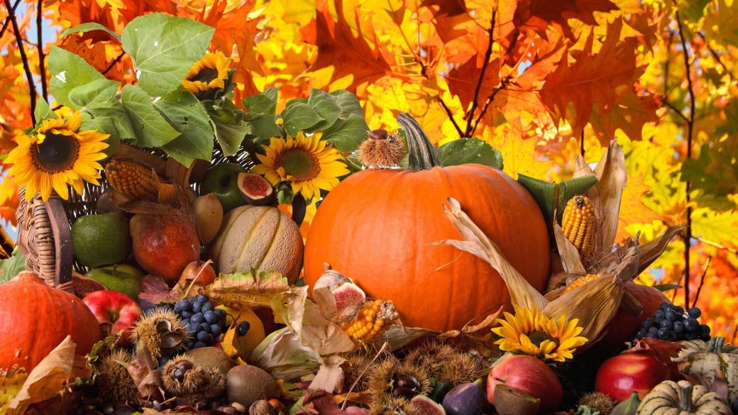 5 полезни храни, които да консумираме през есента
