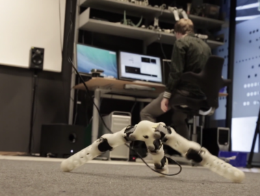 Роботи се грижат за екологията и домакинстват