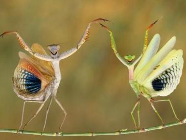 Най-впечатляващите снимки на National Geographic за 2014 г.